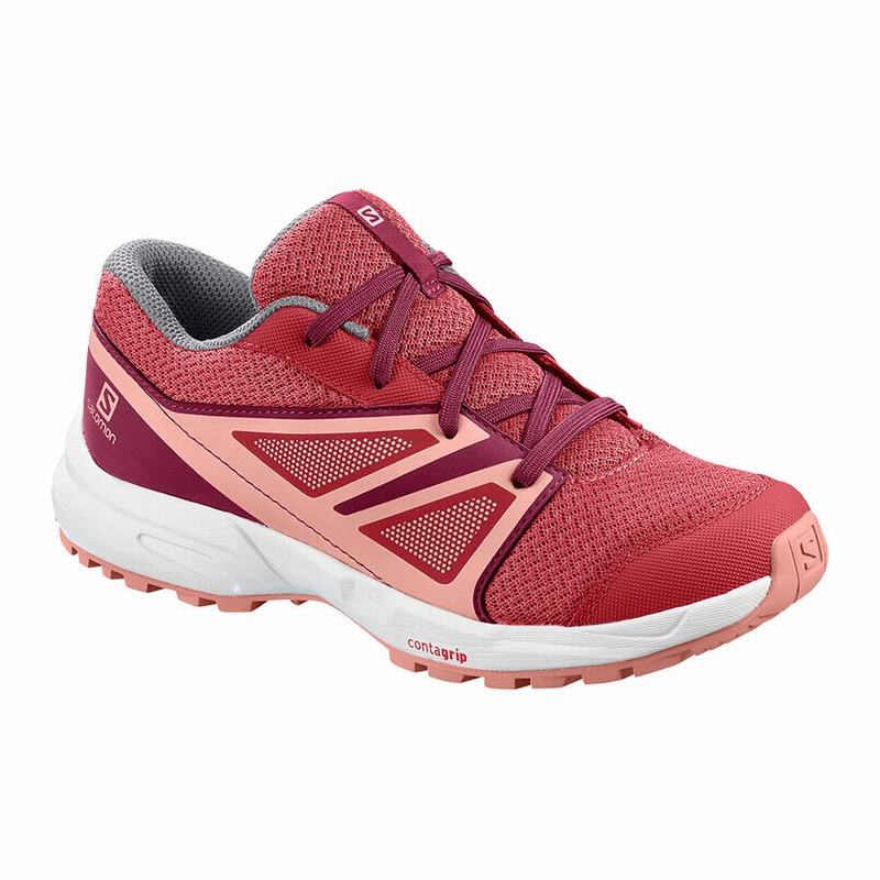 Chaussure Running Salomon Enfant Rouge Foncé Rose / Rouge - Salomon SENSE J - France (1036-FSBPZ)